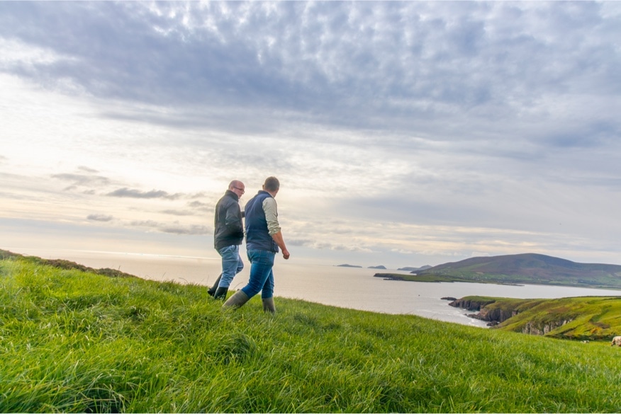 Bord Bia - The Irish Food Board